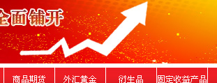 中國(guó)注冊(cè)金融分析師會(huì)員俱樂部 網(wǎng)站設(shè)計(jì)建設(shè)開發(fā)