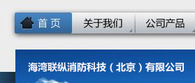 海灣聯(lián)縱消防科技（北京）有限公司 網站建設 網站設計