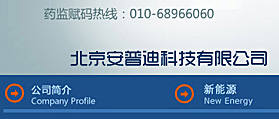 北京安普迪科技有限公司 網站開發(fā) 英文網站制作