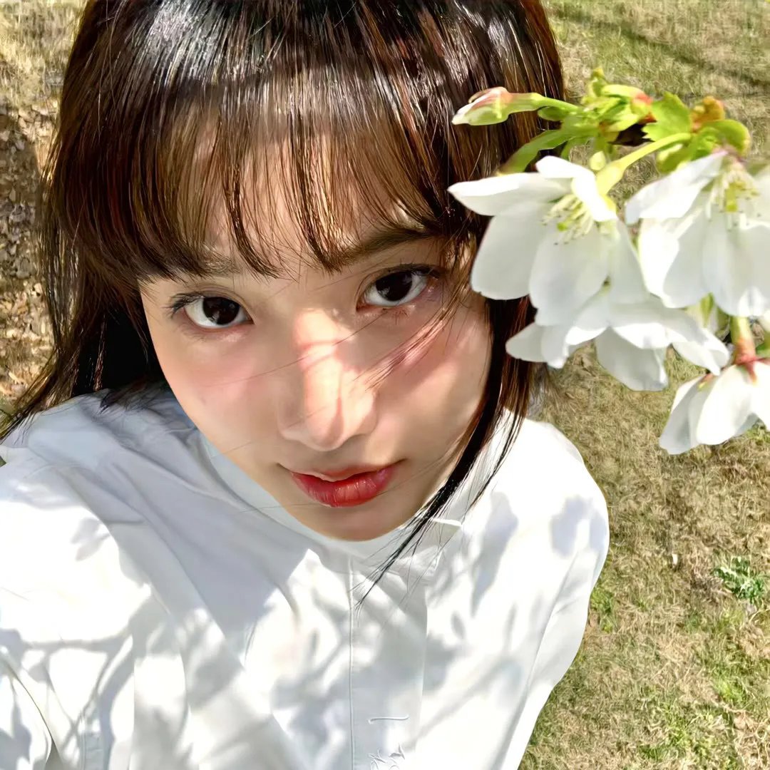 槑头槑脑3