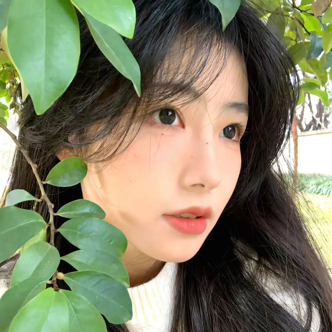青青校树