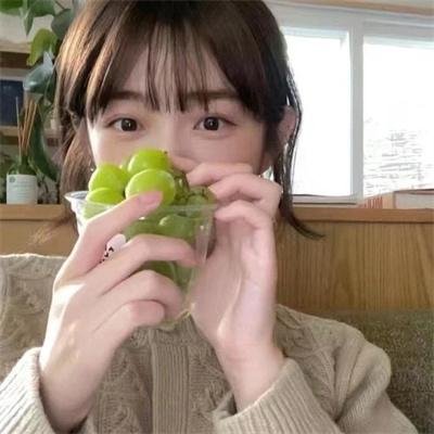 古树旋律 剧场版